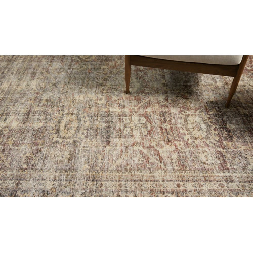 Amber Lewis x Loloi Oriental Bordeaux/Antique Area Rug